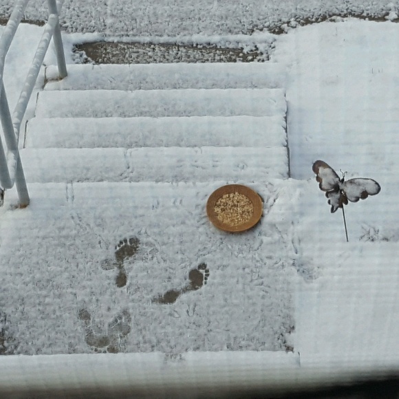 Meet your Posher, Jimilee - Picture 1 of 1